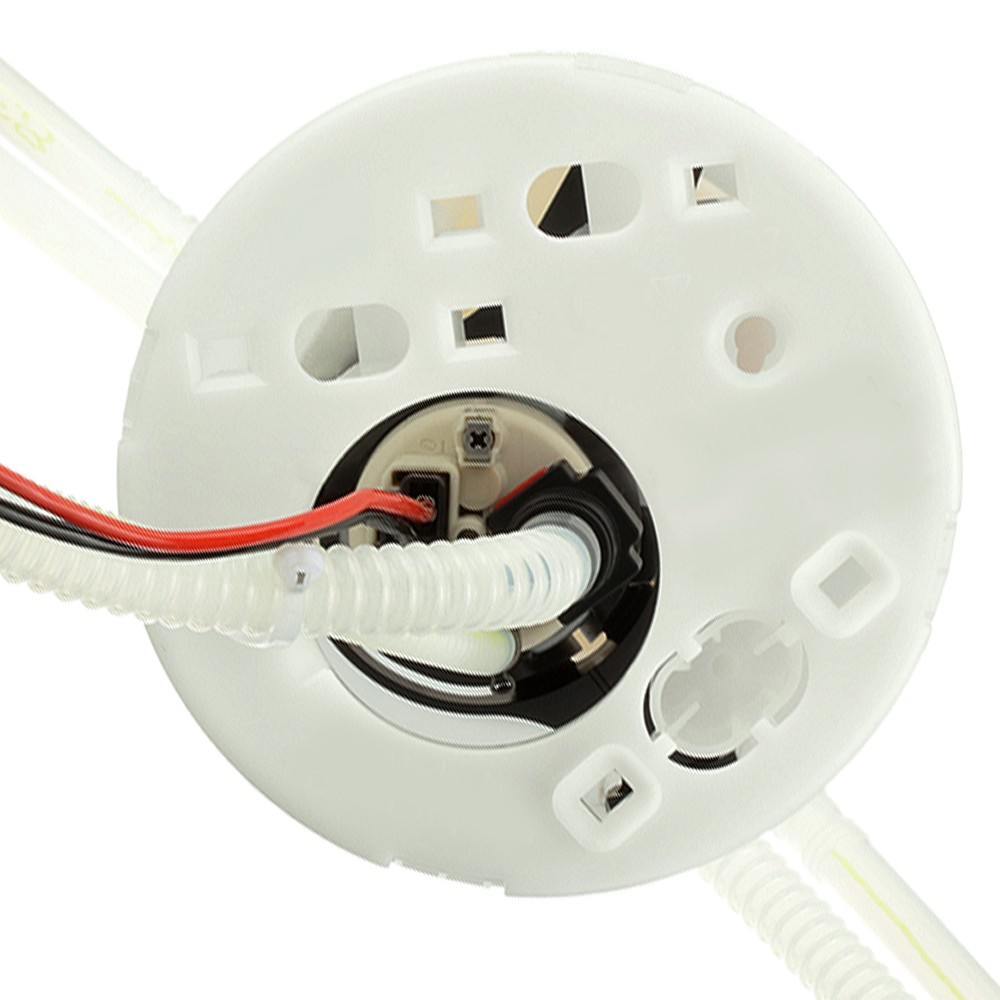 Electric Fuel Pump  Delphi  FE0719