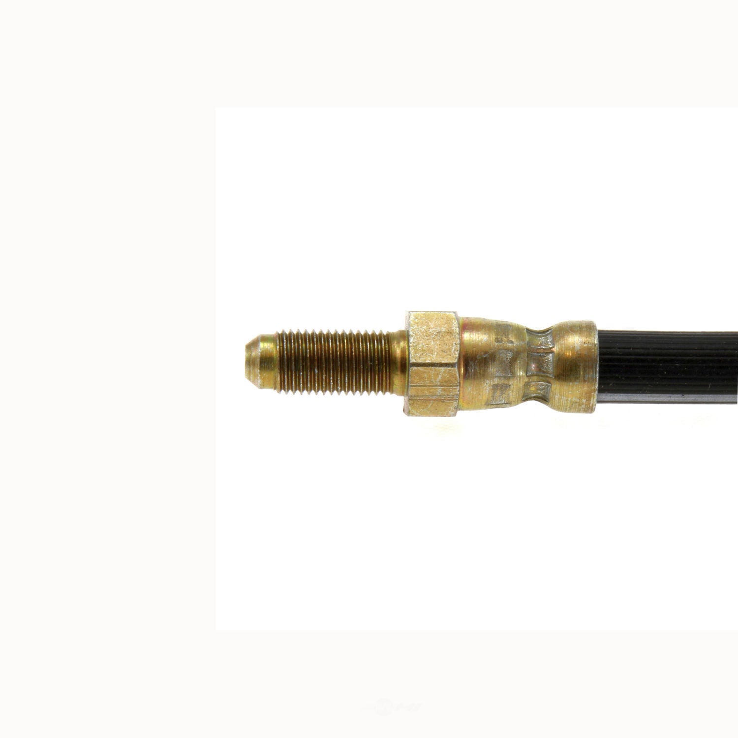 Rr Brake Hose  Centric Parts  150.02300