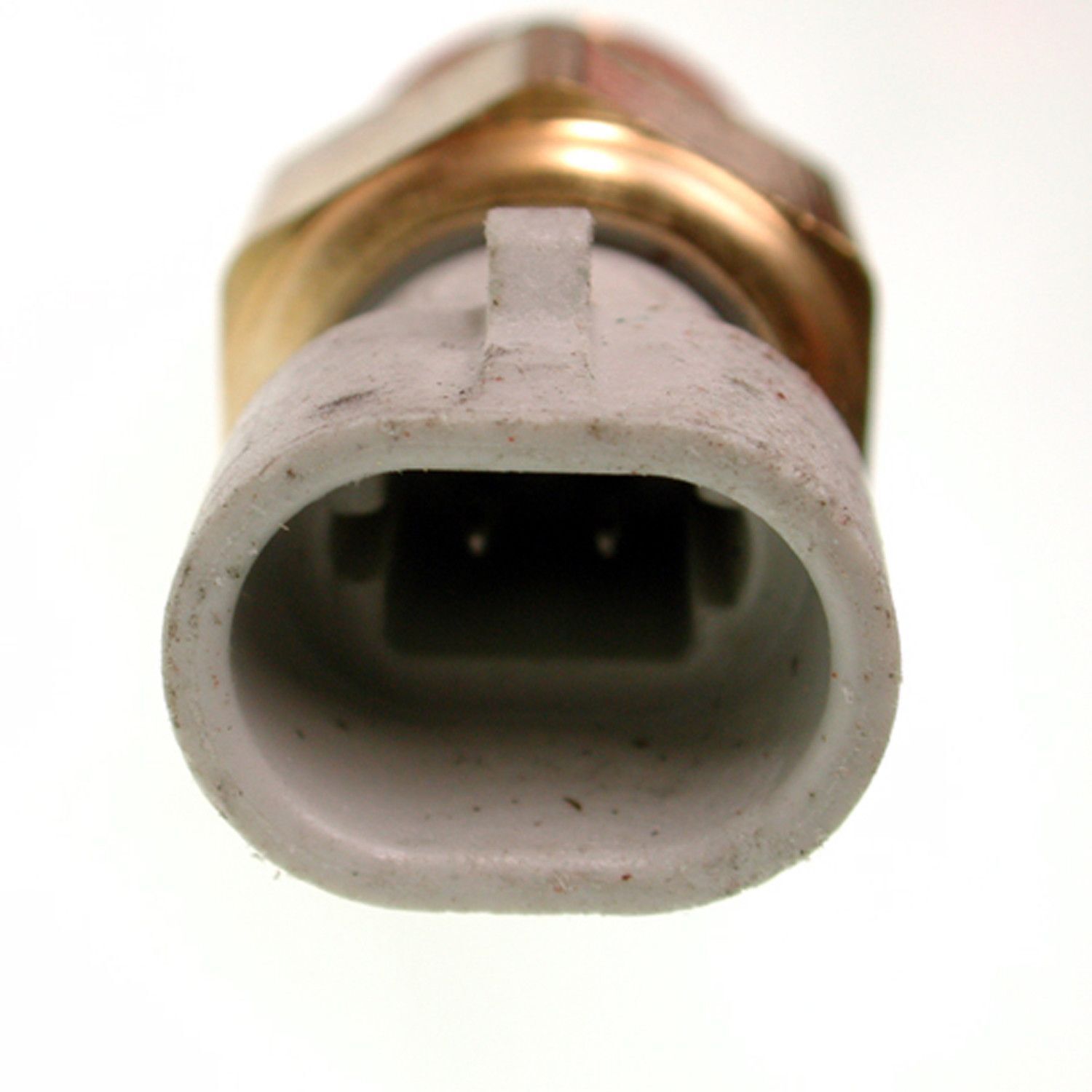 Intake Air Temp Sensor  Delphi  TS10077