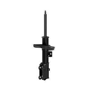 Frt OESpectrum Strut  Monroe/Expert Series  73100