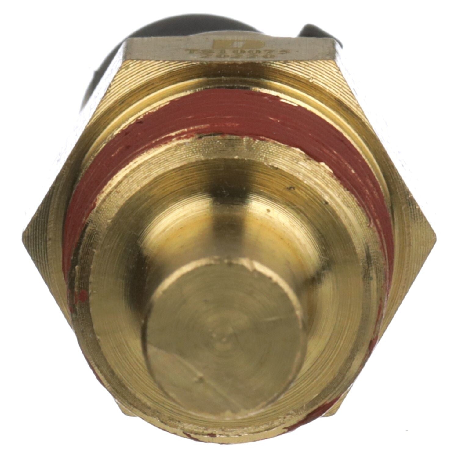 Coolant Temp Sensor  Delphi  TS10075