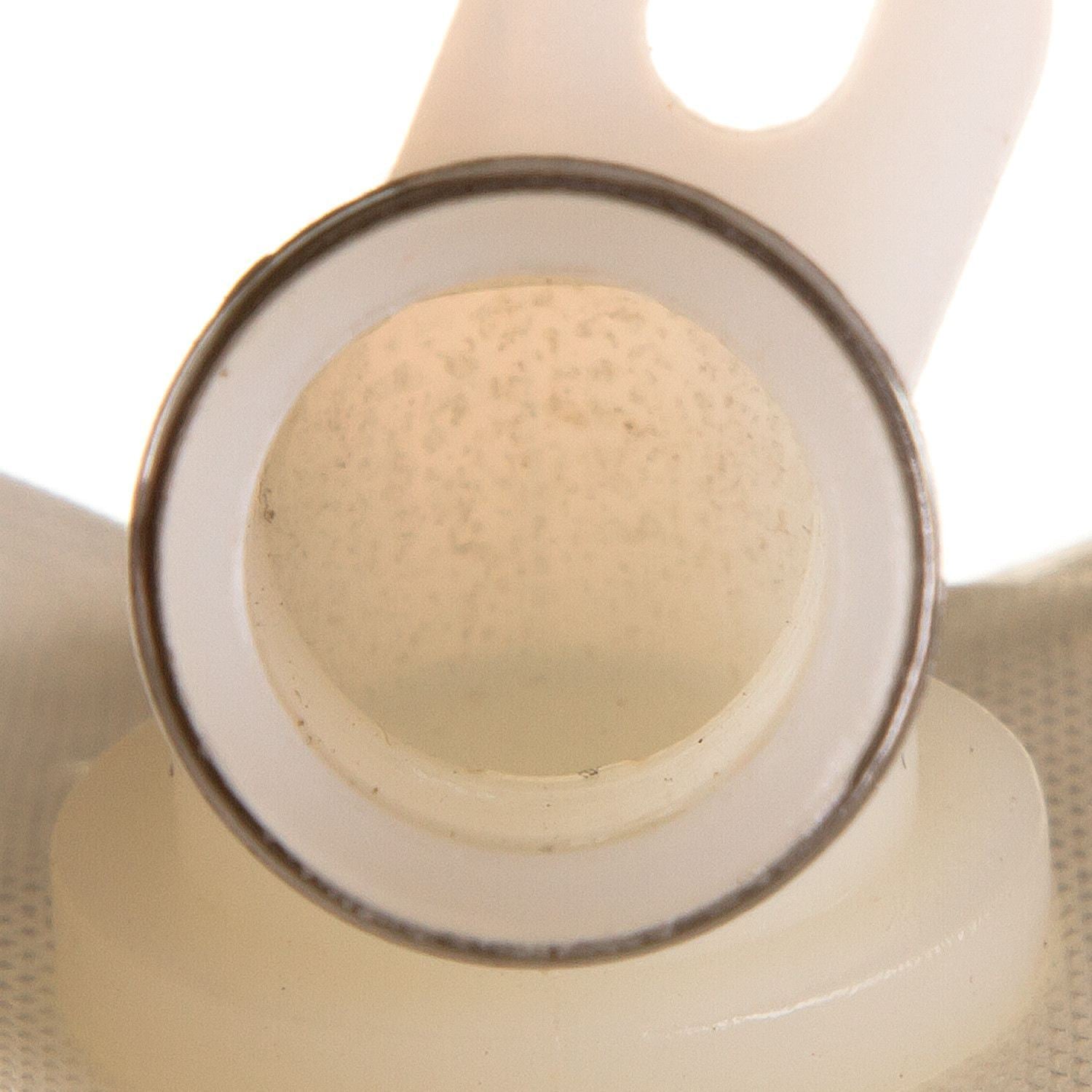 Fuel Pump Strainer  Delphi  FS0091