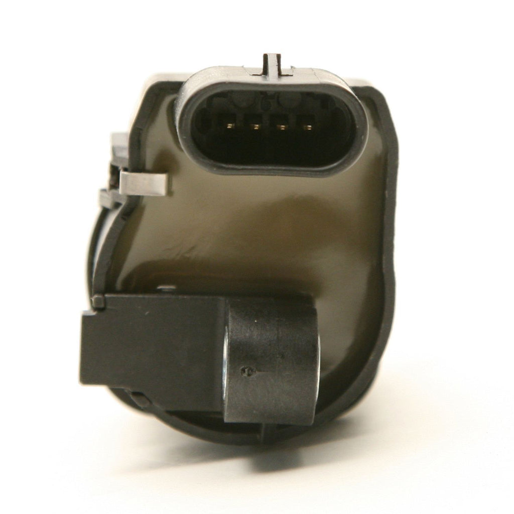 Ignition Coil  Delphi  GN10165