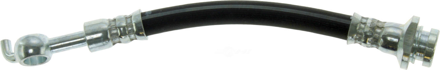 Rr Brake Hose  Centric Parts  150.42391