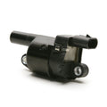 Ignition Coil  Delphi  GN10165