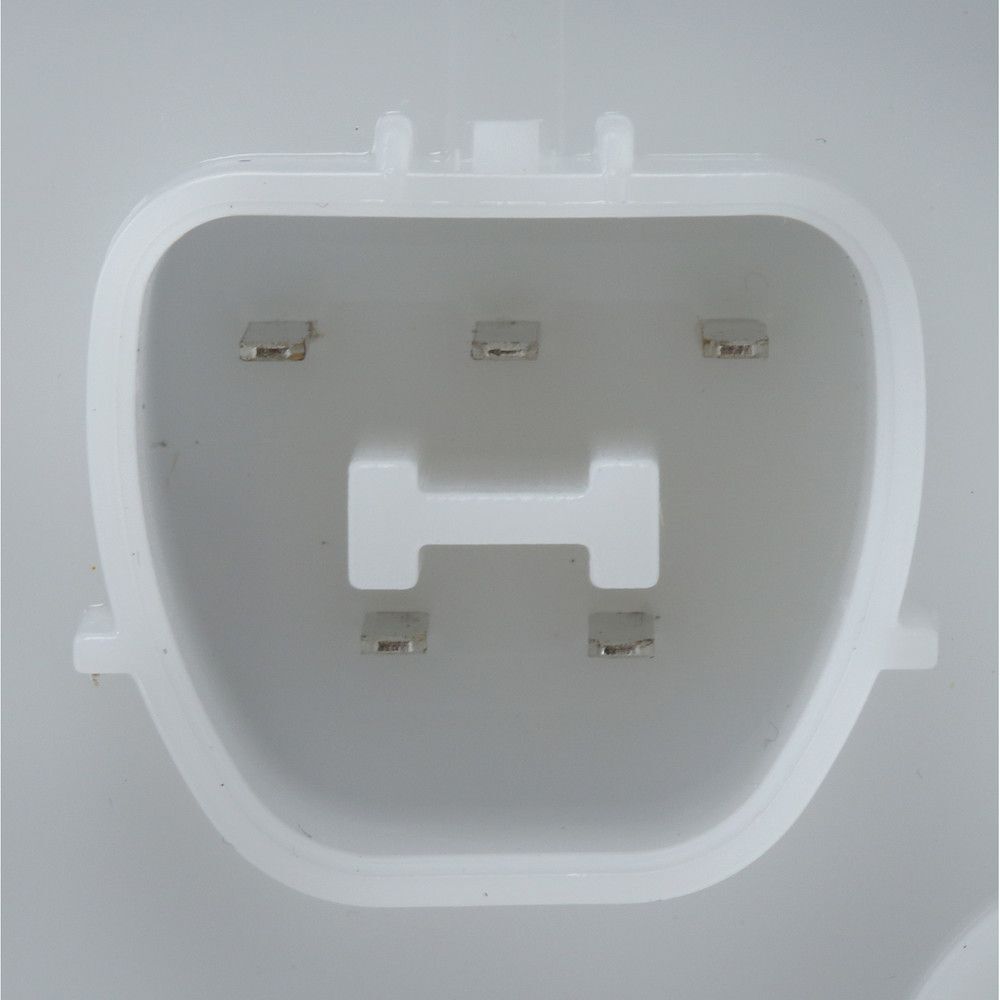 Fuel Pump Module Assy  Delphi  FG1223