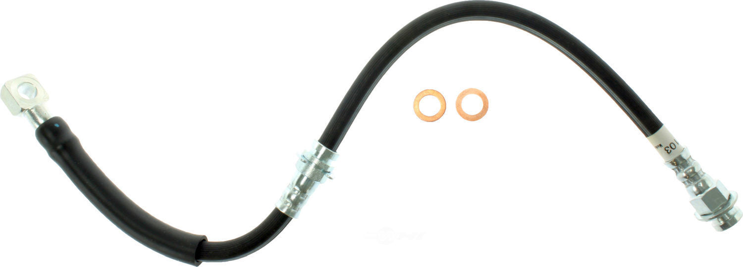 Frt Brake Hose  Centric Parts  150.62038