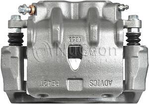 Brake Caliper Frt  Nugeon  99-17401A