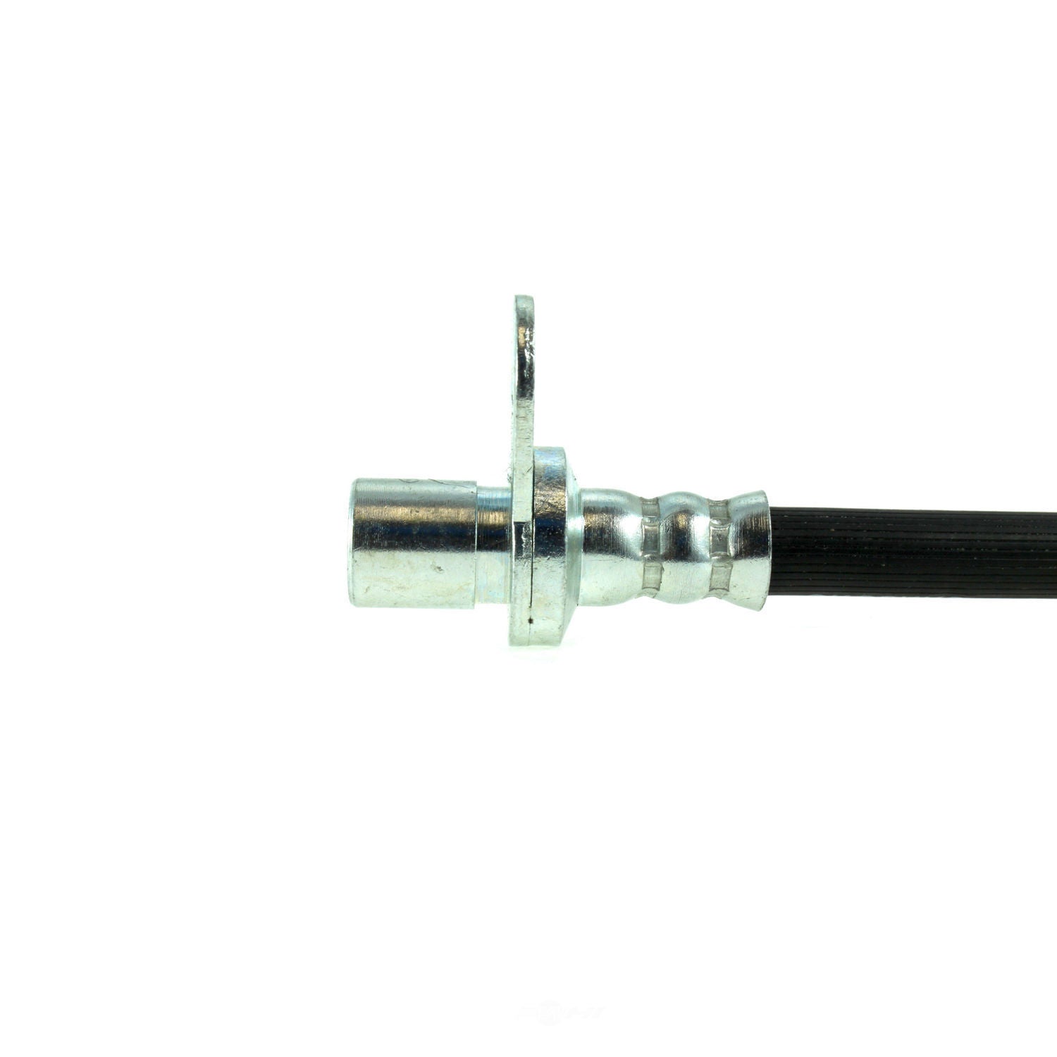 Rr Brake Hose  Centric Parts  150.44351