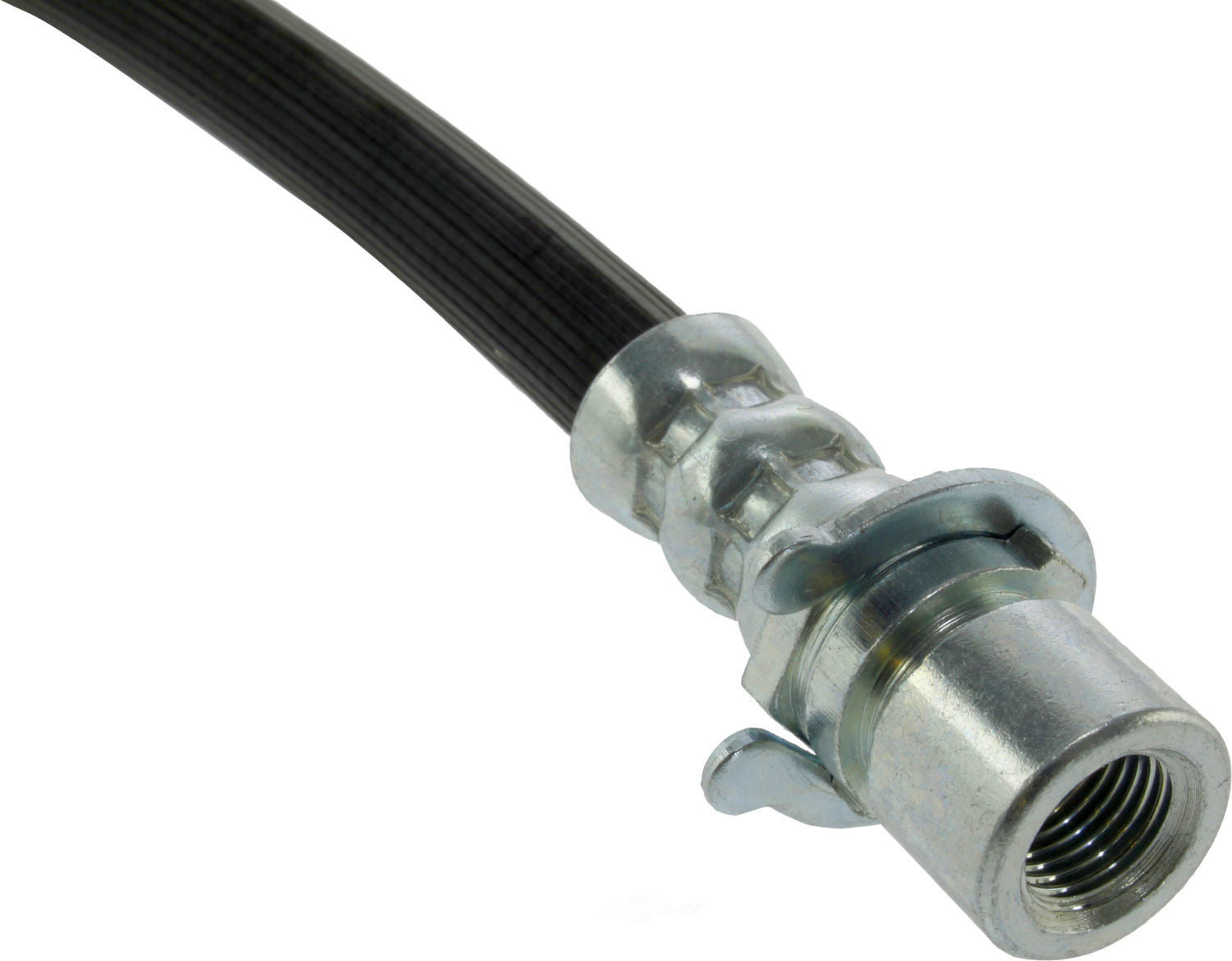 Rr Brake Hose  Centric Parts  150.62438