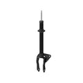 Frt OESpectrum Strut  Monroe/Expert Series  73078
