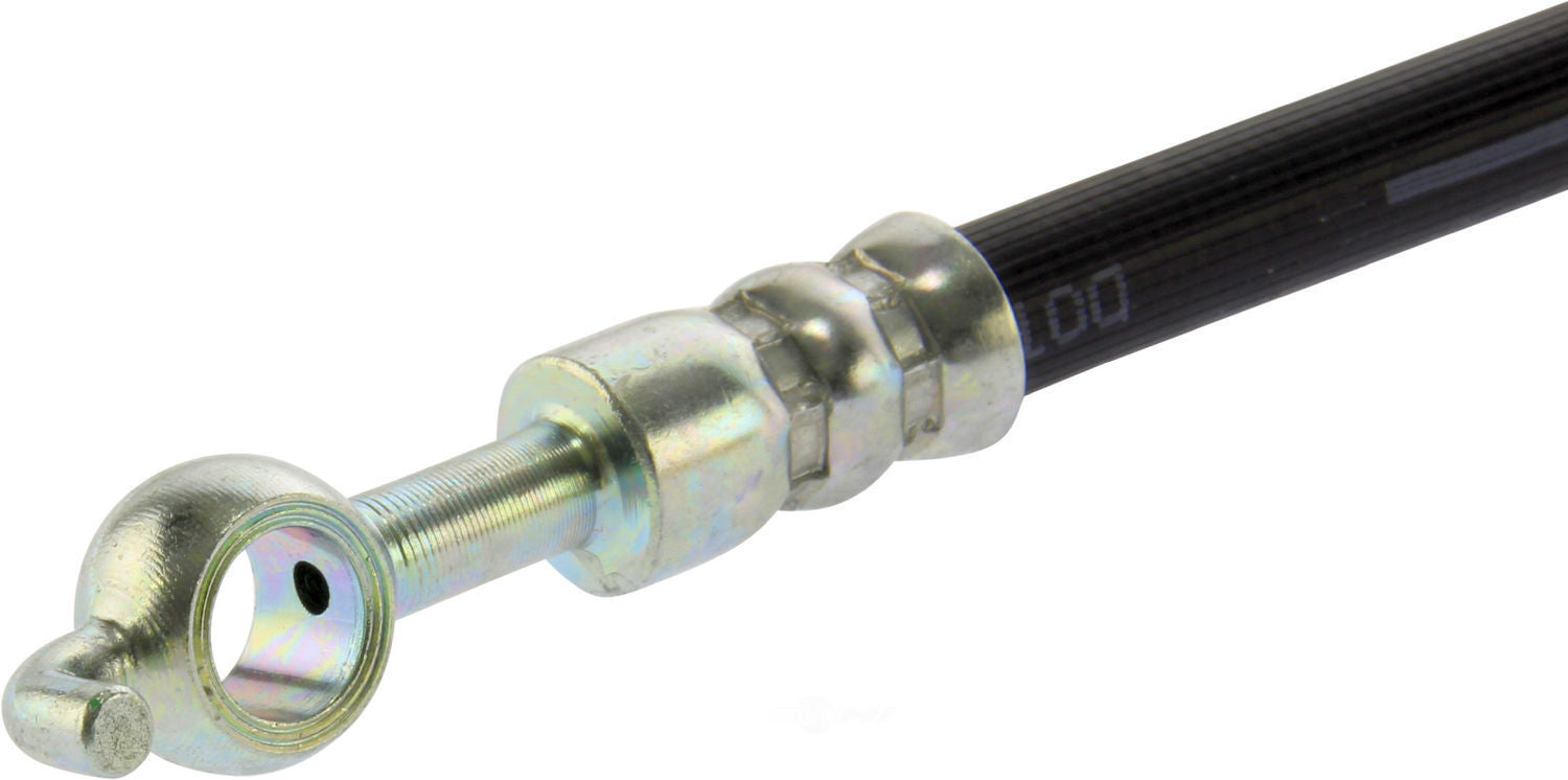 Rr Brake Hose  Centric Parts  150.50367