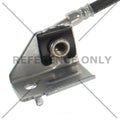 Rr Brake Hose  Centric Parts  150.51395
