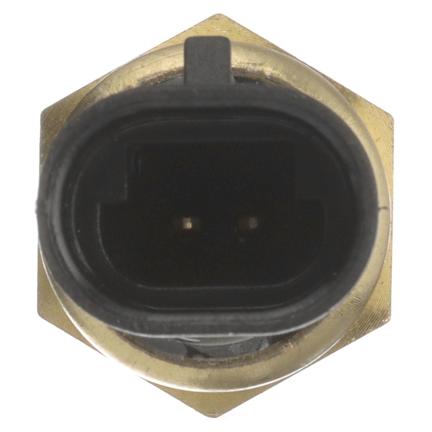 Coolant Temp Sensor  Delphi  TS10075