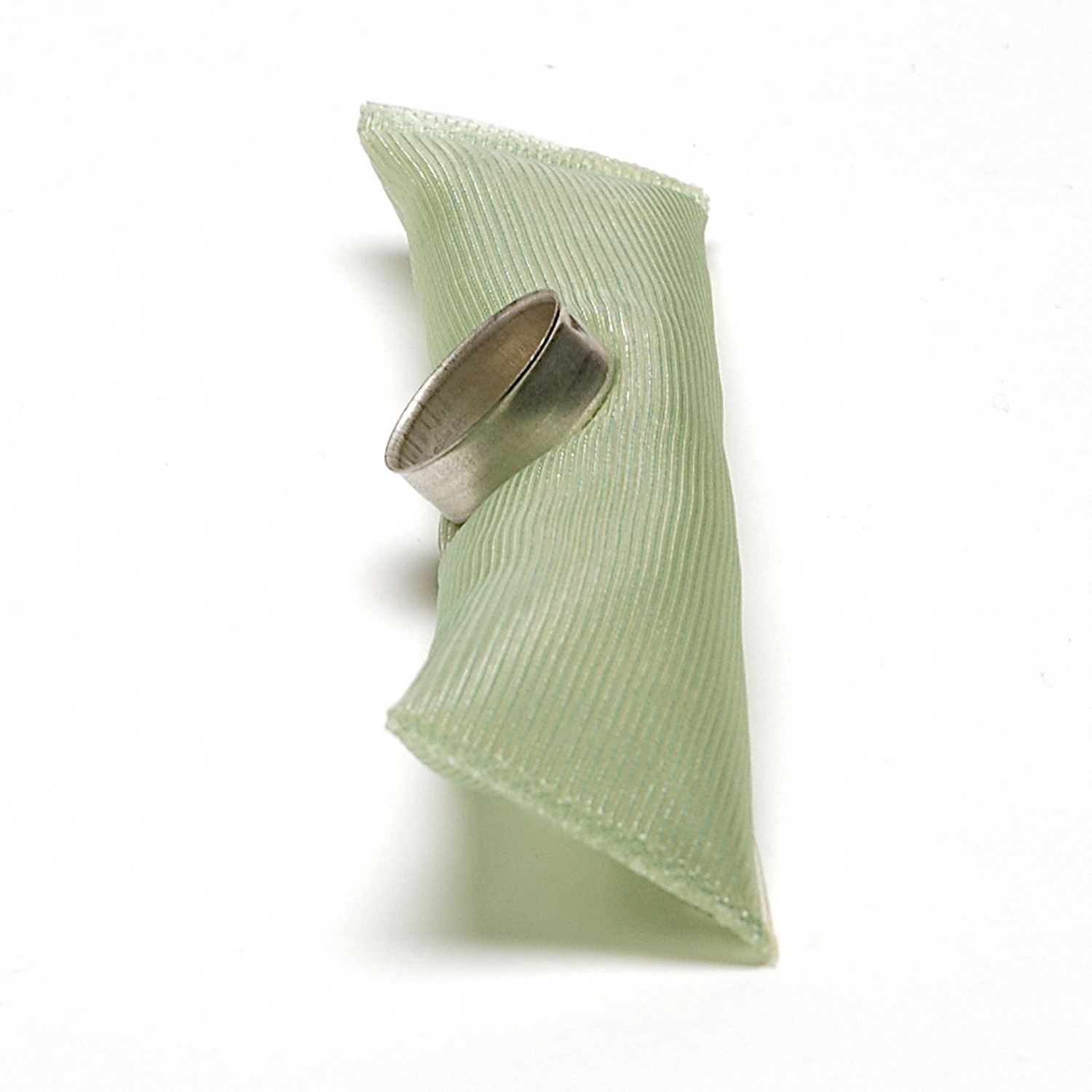 Fuel Pump Strainer  Delphi  FS0007