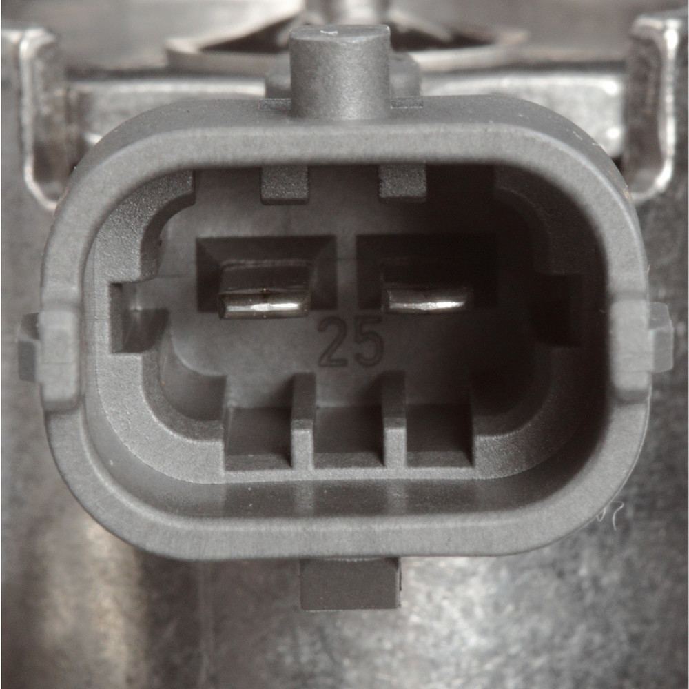 Direct Injection High Press Fuel Pmp  Delphi  HM10016