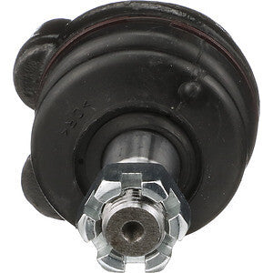 Upper Ball Joint  Delphi  TC596