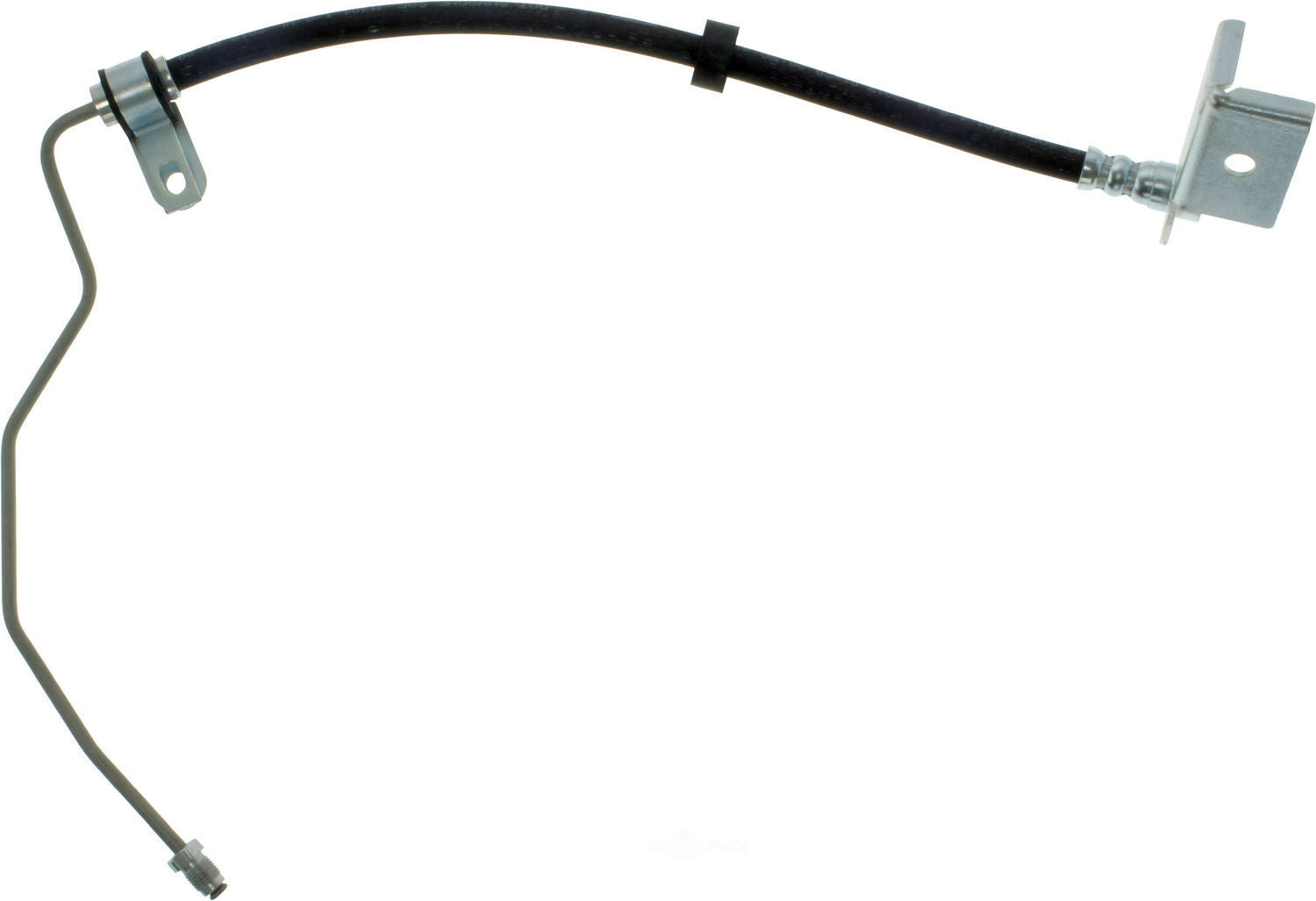 Rr Brake Hose  Centric Parts  150.22311