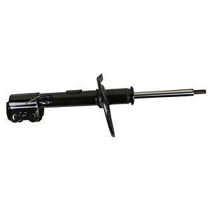 Frt OESpectrum Strut  Monroe/Expert Series  73089