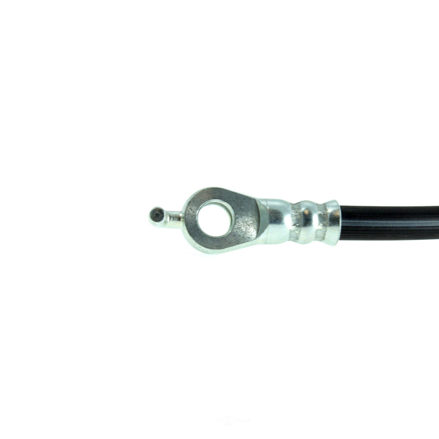 Frt Brake Hose  Centric Parts  150.44079