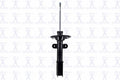 Rr Strut   FCS Automotive   333354