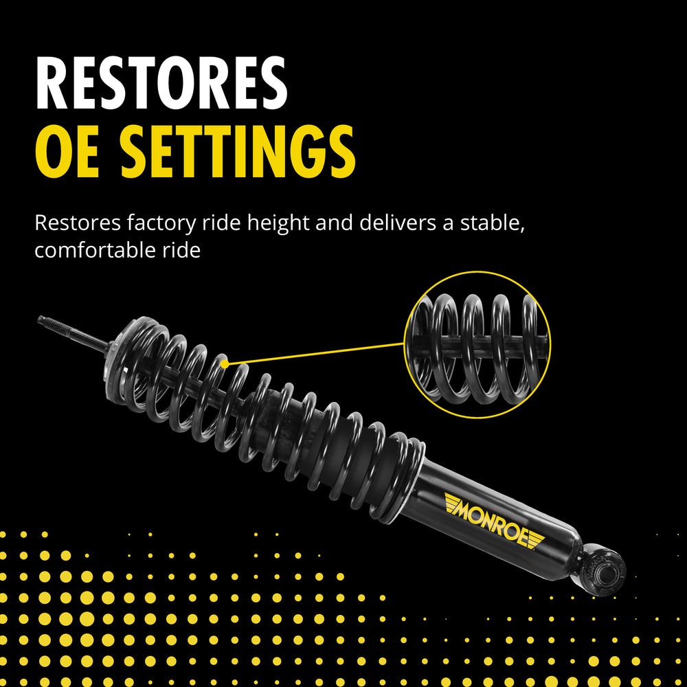 Susp Conversion Kit  Monroe/Expert Series  90004C