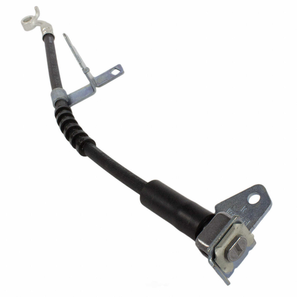 Frt Brake Hose  Motorcraft  BRHF38
