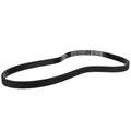 Serpentine Belt  Motorcraft  JK6-455C