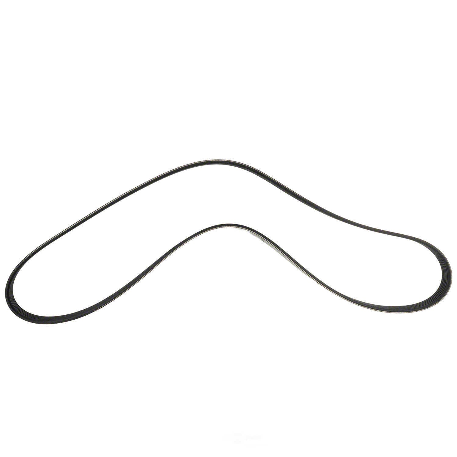 Serpentine Belt  Motorcraft  JK6-455C