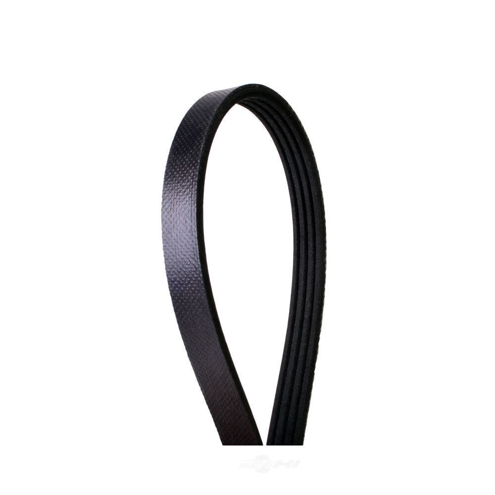 Serpentine Belt   FVP   460K4