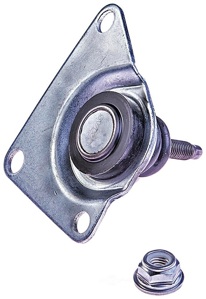 Upper Ball Joint   FVP   BJ96519