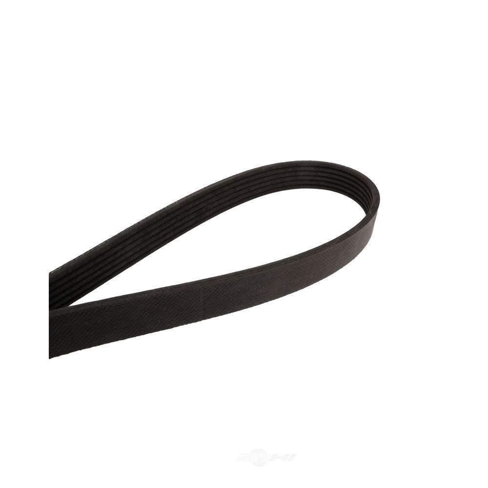 Serpentine Belt   FVP   575K6