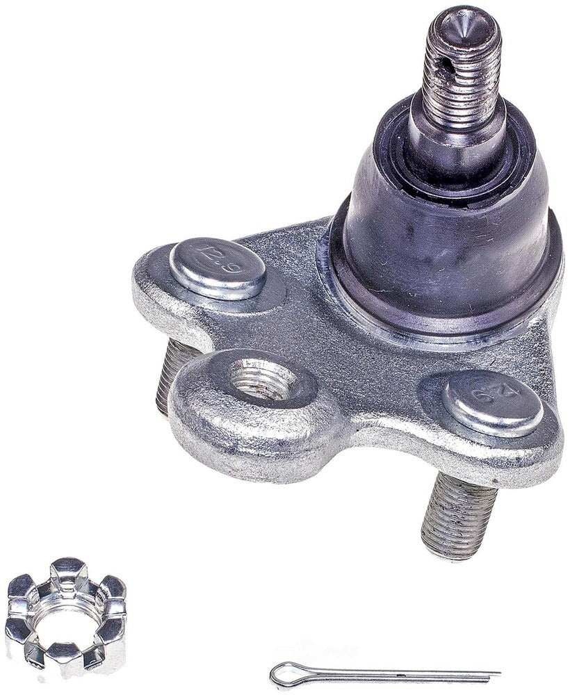 Lower Ball Joint   FVP   BJ59195