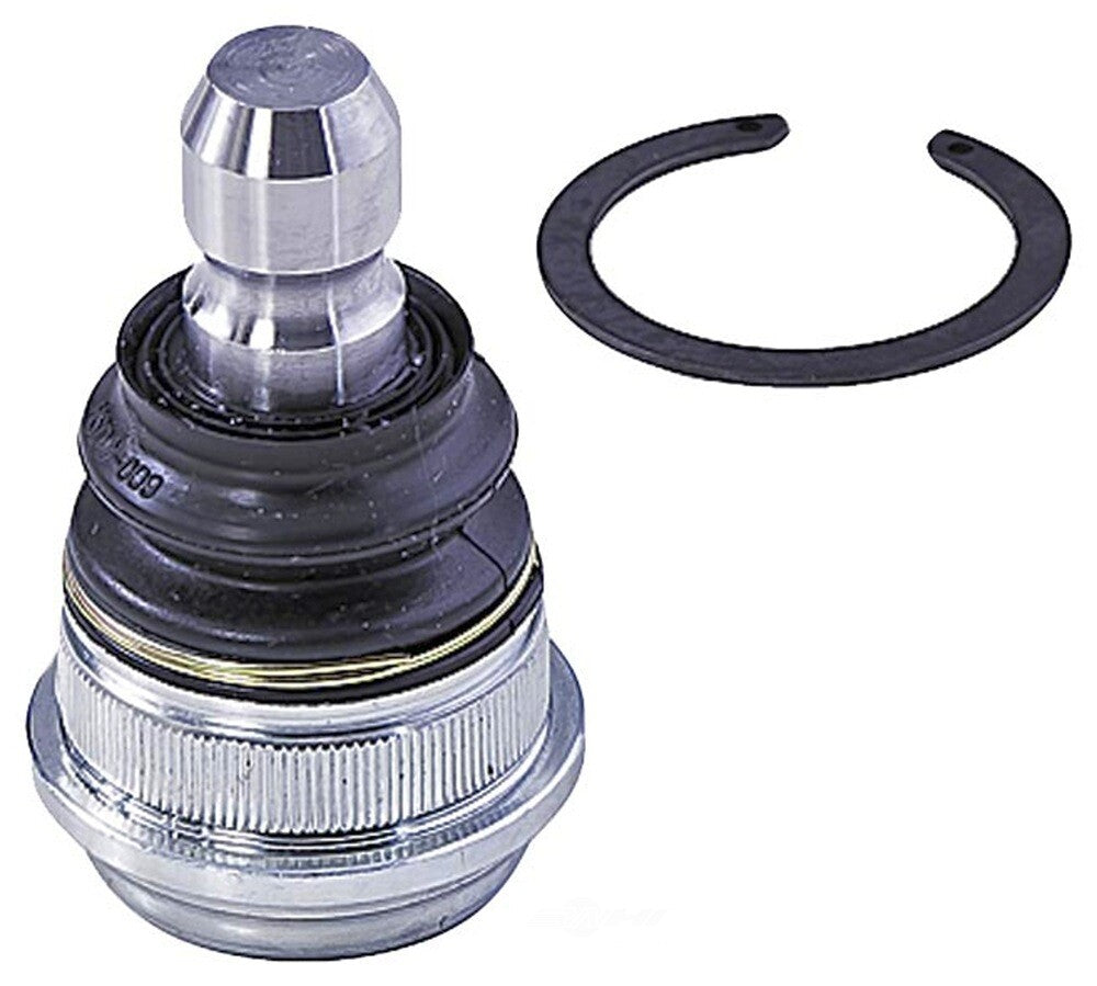Lower Ball Joint   FVP   BJ63145