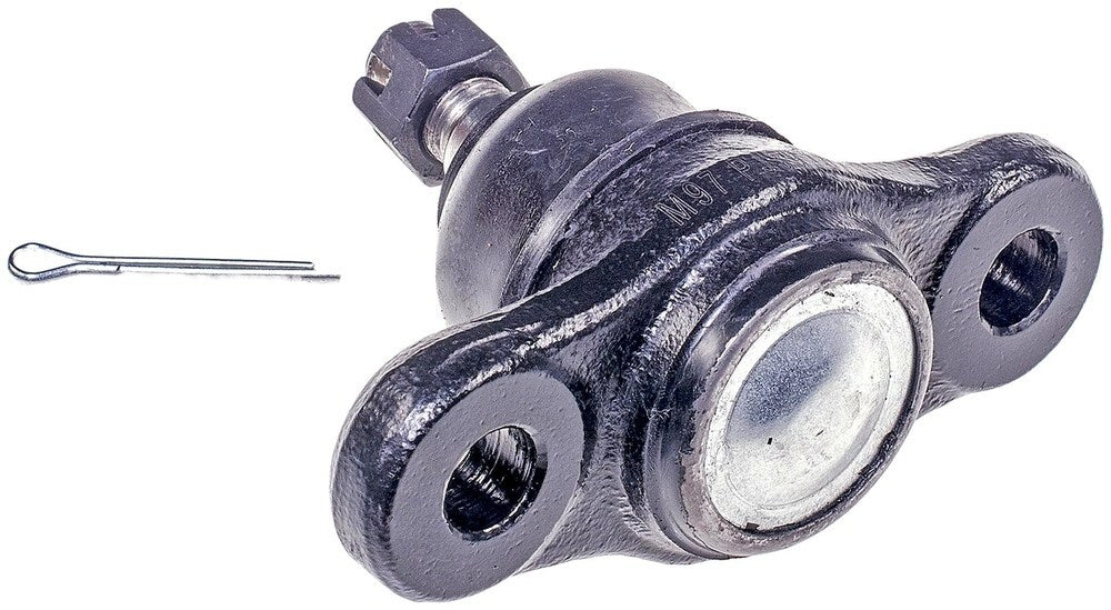 Lower Ball Joint   FVP   BJ60135