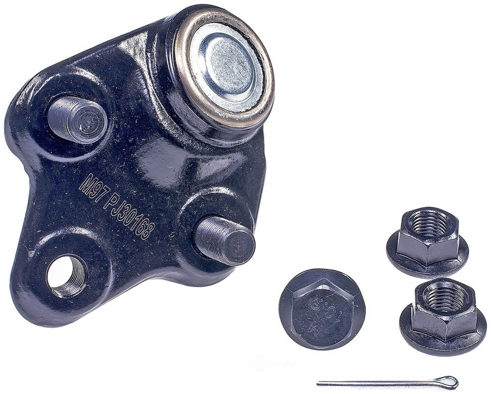 Lower Ball Joint   FVP   BJ75065