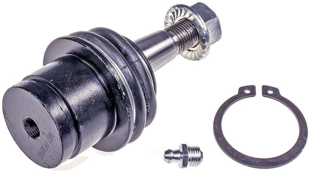 Lower Ball Joint   FVP   BJ81285