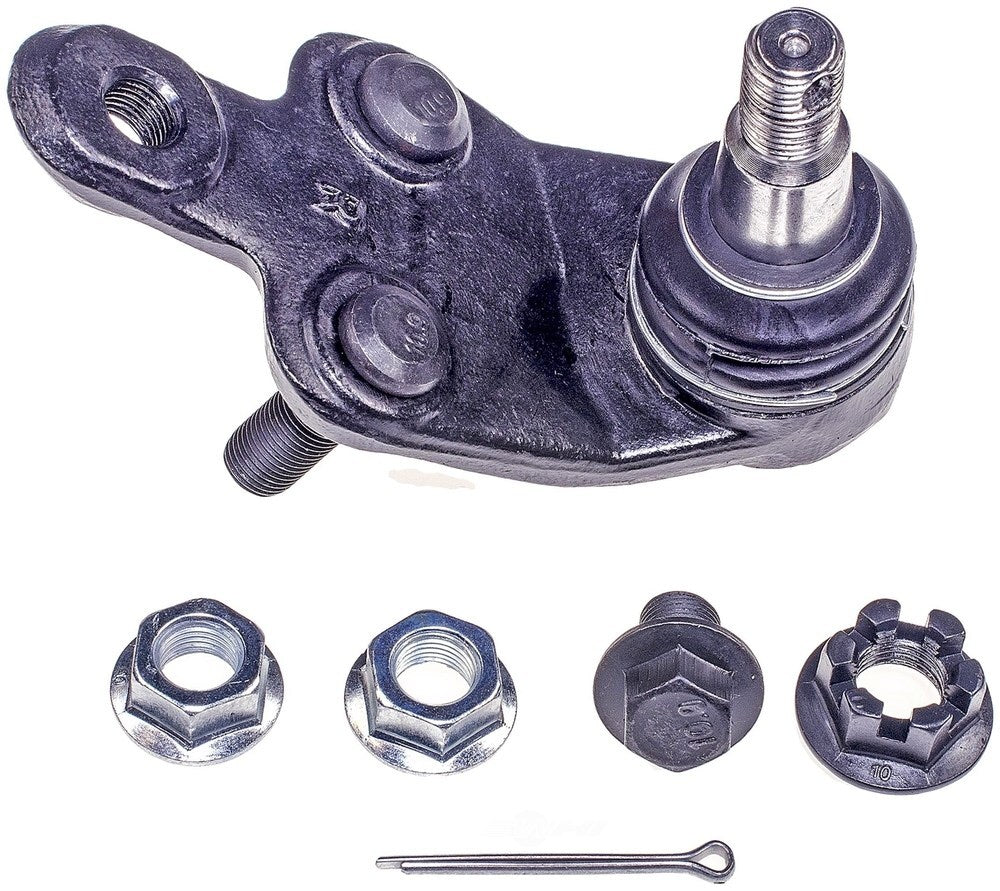 Lower Ball Joint   FVP   BJ74184