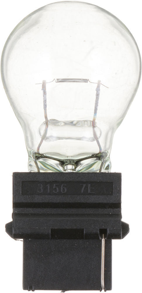 Turn Signal Light  Philips  3156CP