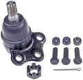 Upper Ball Joint   FVP   BJ81196