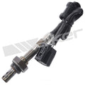 Oxygen Sensor  Walker Products  250-24917