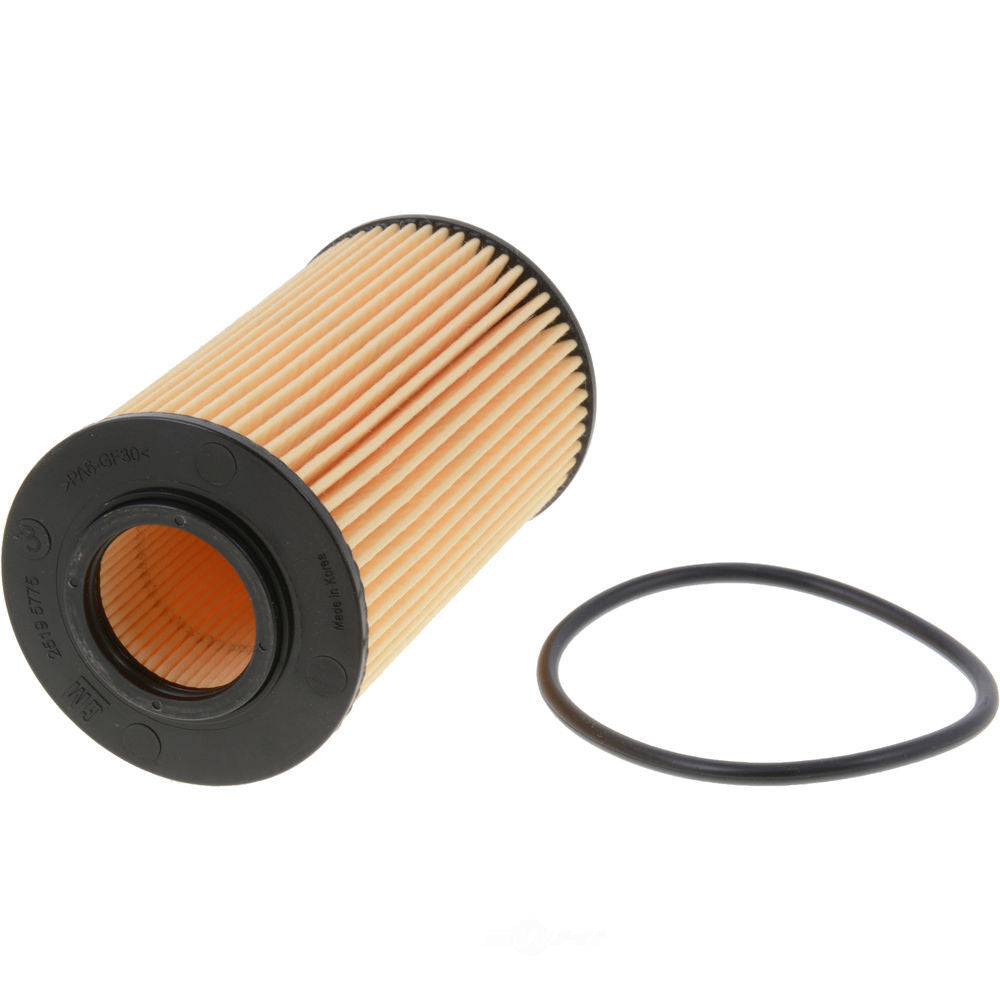 Oil Filter   Luber-Finer   P1051