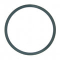Water Pump Mounting Gasket   Fel-Pro   35691