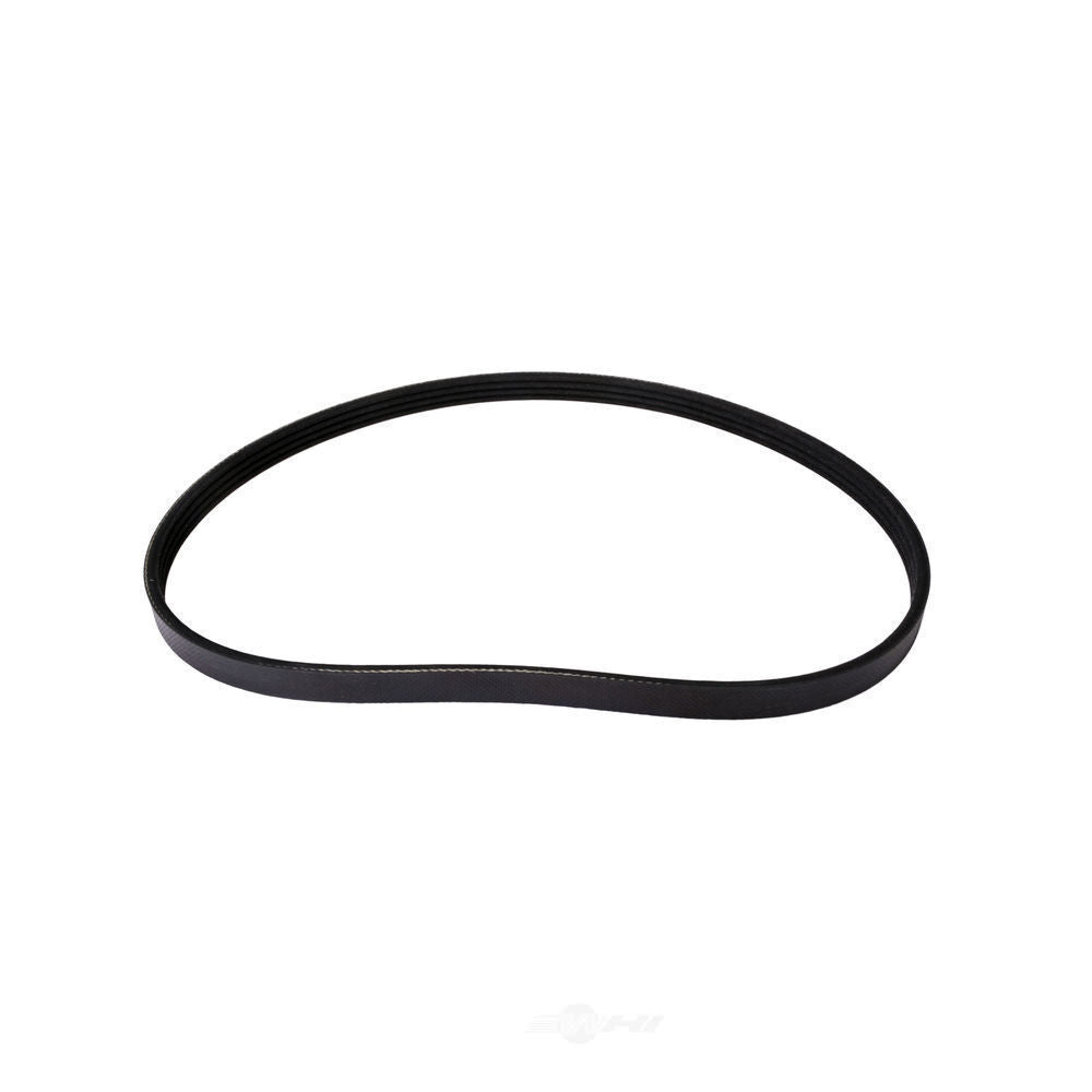 Serpentine Belt   FVP   460K4