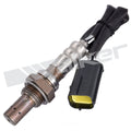 Oxygen Sensor  Walker Products  250-24771