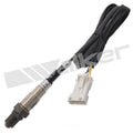 Oxygen Sensor  Walker Products  250-24353