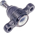 Lower Ball Joint   FVP   BJ60085