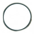 Exhaust Pipe Ring Gasket   Fel-Pro   61406