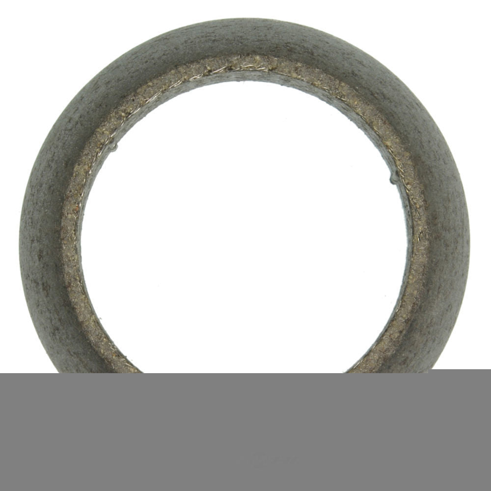 Converter Gasket   Fel-Pro   61636