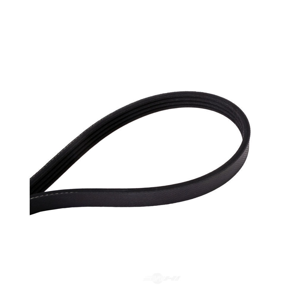 Serpentine Belt   FVP   460K4